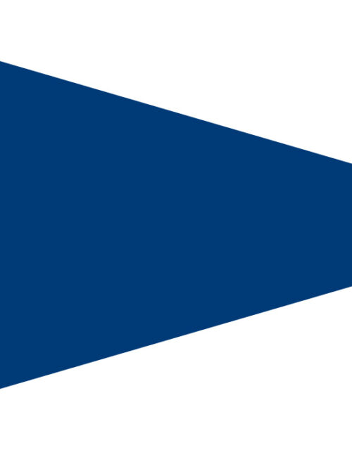 BANDERA GALLARDETE SUBDIVISIÓN