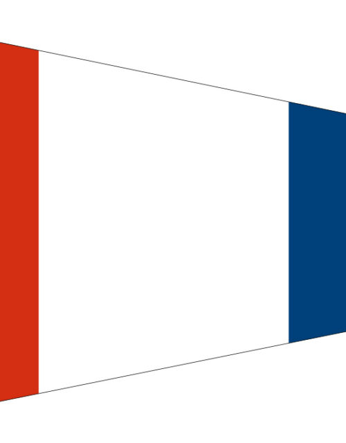 BANDERA GALLARDETE Nº3