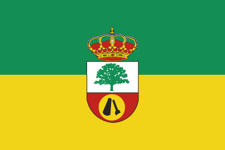 BANDERA RASINES