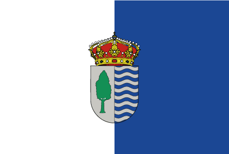 BANDERA SAN MIGUEL DE AGUAYO