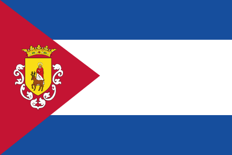 BANDERA SESMA