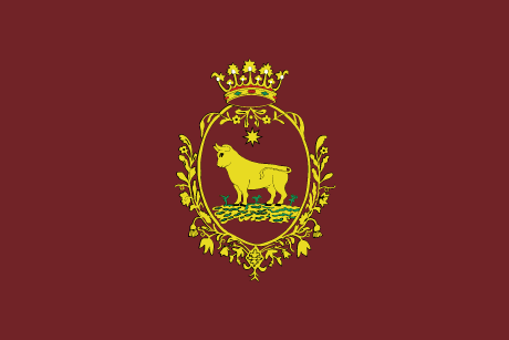 BANDERA AYTO TERUEL