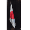 Bandera para despacho raso doble Japón-BPH