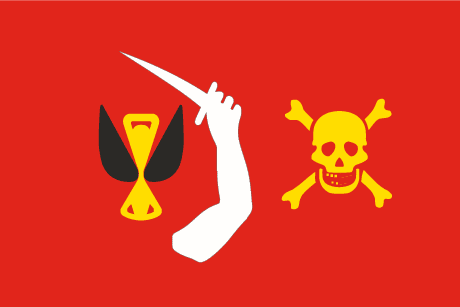Bandera pirata naranja